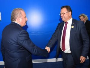 TBMM Başkanı Şentop, Alman Federal Meclisi Başkanvekili Friedrich ile görüştü