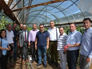 Ejder meyvesini incelemek için Aydın’dan Ortaca’ya gittiler