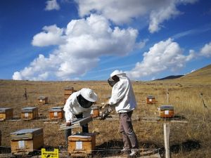 TANAP, 20 ilde yaklaşık bin proje ile çevreyi ve kalkınmayı destekledi