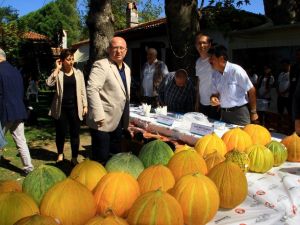 Yaylanın en güzel kavunları yarıştı