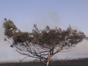 Küresel ısınma ve iklim değişikliği medyanın gündeminde