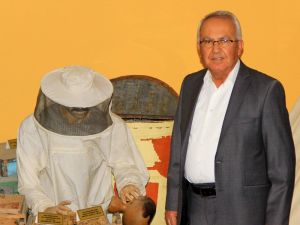 Türk çam balı uluslararası coğrafi işaret yolunda