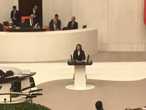 AK Partili Milletvekili Durgut: “Türkçe ne yazık ki yozlaştırıldı"