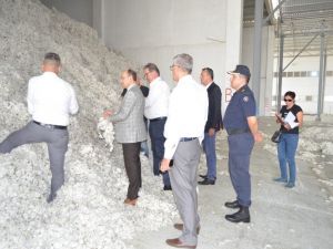 Söke’de pamuğa kalite denetimi