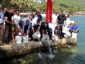 Lahos balıkları Gökova Körfezi ile buluştu