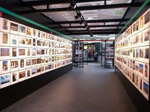 Türkiye’nin en büyük fotoğraf sergisi