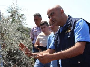 Manisalı orman köylüsünün yüzü ORKÖY’le güldü