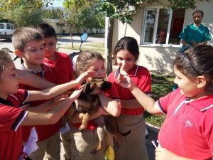 Kurtuluşlu öğrencilerden can dostlara ziyaret