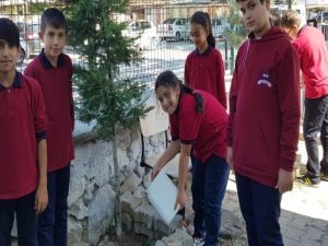 Ortaokul öğrencileri ağaç bakımı yaptı