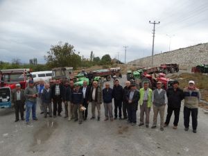 Domaniç’te ceviz üreticisinin hasat mutluluğu