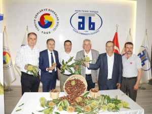 Aydın’da sezonun ilk kestanesi borsaya teslim edildi