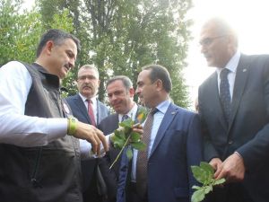 Bakan Pakdemirli defne ve kestane hasadı ile bal sağımı yaptı