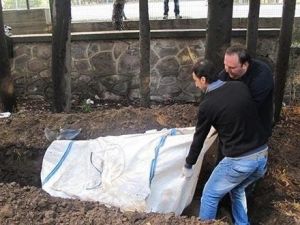 Beş yıldır gömülü olan yunusun iskeleti EÜ Tabiat Tarihi Müzesinde
