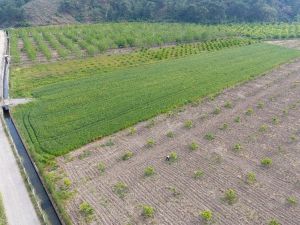 Muğla’da 121 bin 300 dekar tarım arazisi sulandı