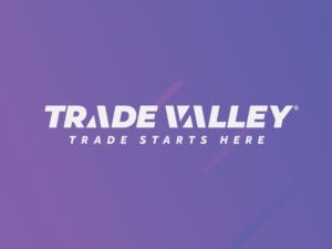 ’Turkeyol’ faaliyetlerine Trade Valley çatısı altında devam edecek