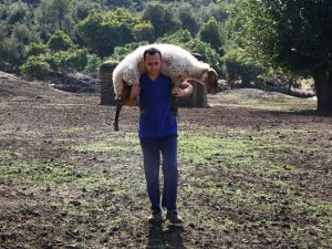 Aydın Büyükşehir, Çine çaparına sahip çıktı
