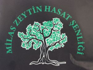 Milas 6. Zeytin Hasat Şenliği 2 - 3 Kasım’da yapılacak