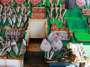 Balık tezgahları boş, vatandaşlar dertli