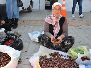Simav kestanesi tezgahlardaki yerini aldı