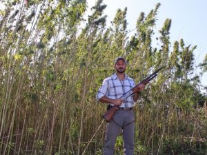 Amerika’dan geldi, Türkiye’de tüfekle koruyarak kenevir üretti