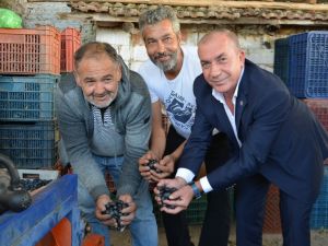 Üreticiler desteklemeler konusunda bilgilendirildi