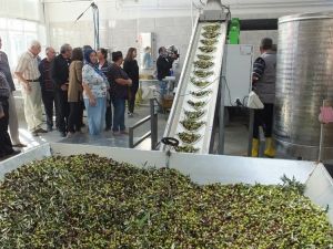 Balıkesir’de 60 yıllık zeytinyağı fabrikası devlet desteği ile yenilendi