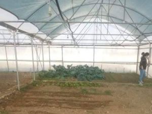 Çavdarhisar Tarım Meslek Lisesi’nde ’’Fide yetiştiriciliği’’ kursu