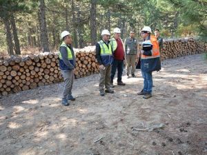 Orman Bölge Müdürü Keskin: "Üretimde öncelik kalitedir"
