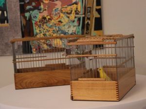 Rus ötücü kuşları Ankaralıların kulaklarının pasını silmeye geliyor