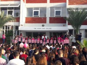 Meme kanserine “pembe tişört” farkındalığı