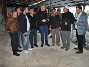 Vali Toraman mozaikli evde incelemelerde bulundu