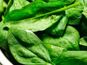 6 soruda ıspanak zehirlenmesi