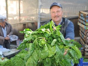 Organik ıspanak ilgi görüyor