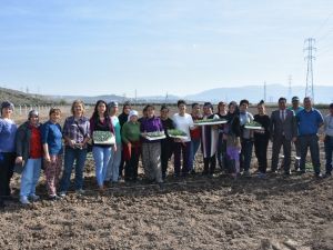 Aliağalı üretici kadın çiftçiler tarlaya indi