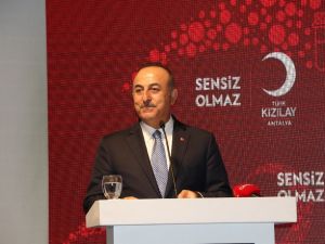 Bakan Çavuşoğlu: "Terör devleti kurmak isteyenlerin oyununu başlarına devirdik"