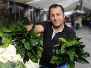 Fiyatlar düşünce ıspanak satışları arttı