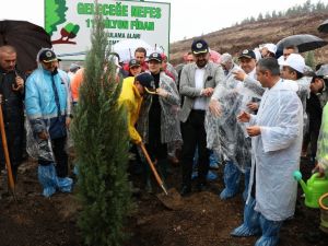 Manisa en çok fidan sahiplenmeyle Türkiye 1.’si oldu