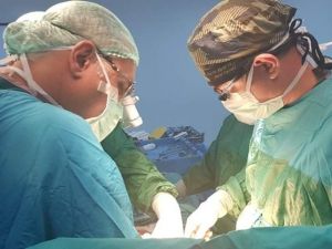 Türk Cerrahi Derneği ünlü cerrahları Aydın’da topluyor