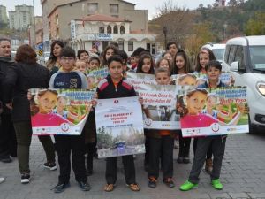 Diyabetle mücadele için yürüdüler