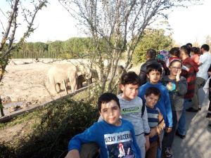 Çavdarhisar 100. Yıl İlkokulu Kütahya’yı başarıyla temsil etti