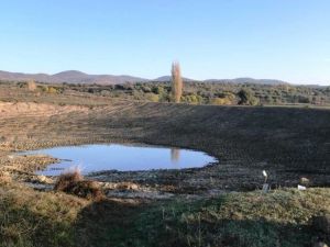Bakımı yapılan göletler üreticiye gelir sağlayacak
