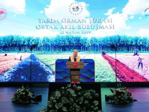 Cumhurbaşkanı Erdoğan: “Gıda güvenliği milli güvenlik meselesi haline geldi”