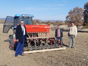 Tavşanlı’da Macar fiği ekimi