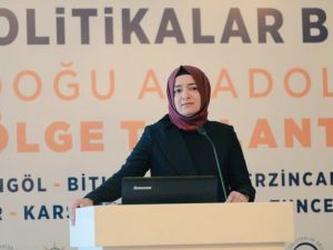 AK Parti Genel Başkan Yardımcısı Kaya Van’da