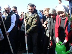 Bakan Pakdemirli ve Binali Yıldırım 850 bin fidanın dikildiği törende buluştu