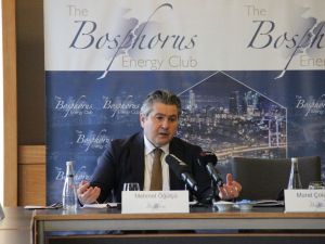 ’’Türkiye, doğalgaz konusunda tüm eleştirilere rağmen çok doğru bir strateji izlemiştir’’