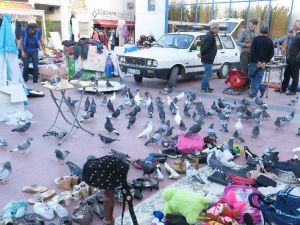 Kuşadası’nda bit pazarına yoğun ilgi