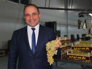 Manisa’dan 32 ülkeye Sultaniye üzüm ihracatı