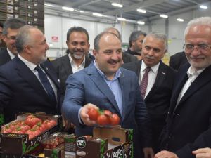 Bakan Varank’tan sanayi tesislerine ziyaret
