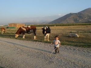 Minik hayvanseverin neşeli görüntüleri tıklanma rekoru kırdı
